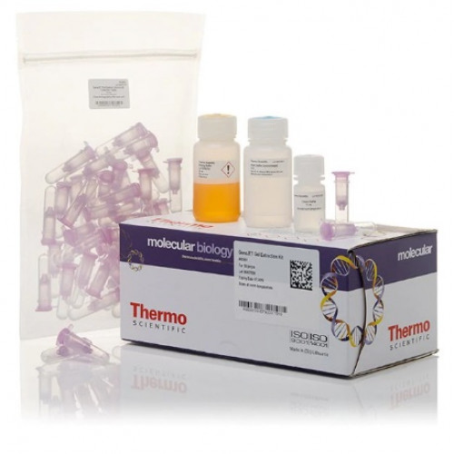 Thermo Scientific™ GeneJET Gel Extraction Kit, 250 Preps